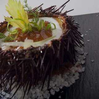 Sea Urchins in Acidulated and Aromatic Hollandaise Sauce over Yogurt