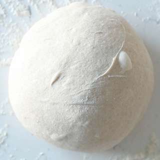 Homemade Pizza Dough Recipe