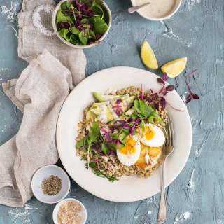 Barley bowl with halloumi, egg & avocado