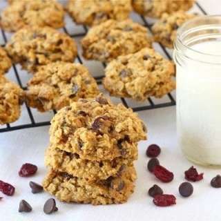 Pumpkin Oatmeal Cookies with Dried Cranberries & Chocolate Chips