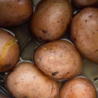 Instant Pot Boiled Potatoes