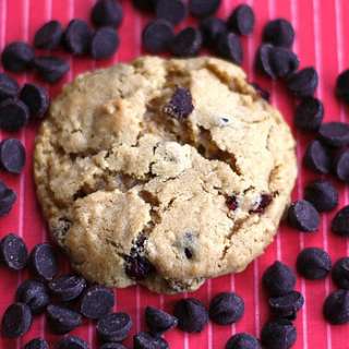 Dark Chocolate Cranberry Cookies
