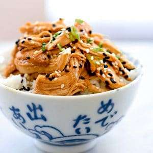 Crockpot Teriyaki Chicken