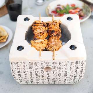 Chicken kebabs with yoghurt, paprika and lemon