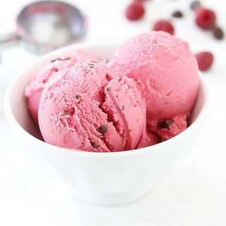 Raspberry Dark Chocolate Frozen Yogurt