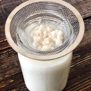 Milk Kefir