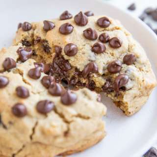 One Huge Chocolate Chip Cookie