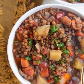 Slow Cooker Lentil Soup