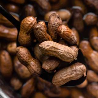 Instant Pot Boiled Peanuts
