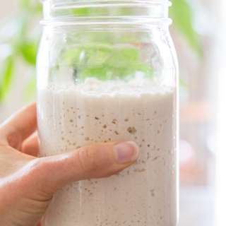Gluten-Free Sourdough Starter