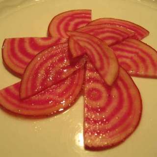 Raw Pickled Chioggia Beets