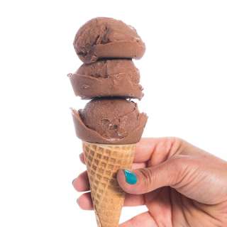 Vegan Chocolate Peanut Butter Ice Cream