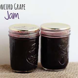 Concord Grape Jam