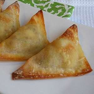 Crispy Baked Shrimp Wontons