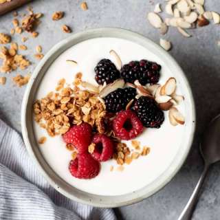 Homemade Probiotic Yogurt