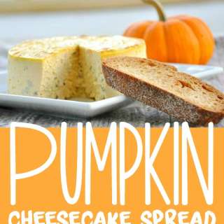 Savory Pumpkin Basil Cheesecake Spread
