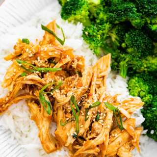 Slow Cooker Teriyaki Chicken