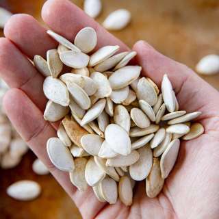 Roasted Pumpkin Seeds