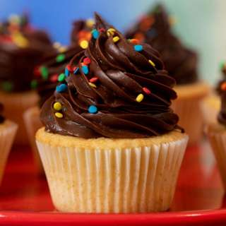 Yellow Cupcakes with Chocolate Frosting