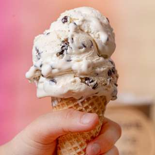Chocolate Chip Ice Cream