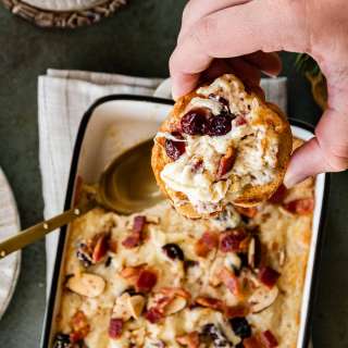 Bacon Cranberry Swiss Cheese Dip
