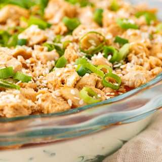 Sweet and Sour Chicken Dip