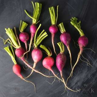 Radishes Drizzled with Sesame oil and Maldon Salt