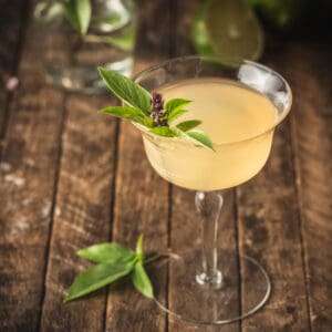 Thai Basil Gimlet