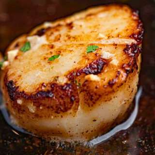 Pan Seared Scallops