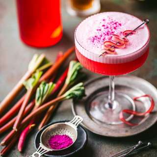 Rhubarb Gin Sour