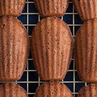 Chocolate Madeleines