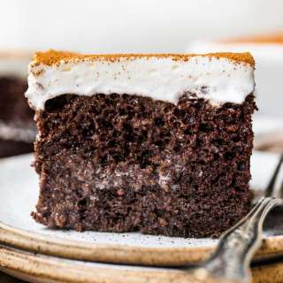Mexican Chocolate Tres Leches Cake