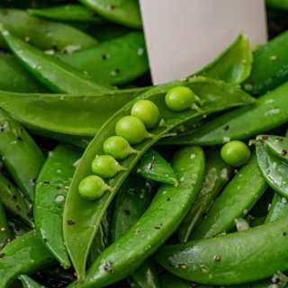 Sugar Snap Peas